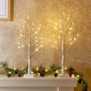 Ornaments